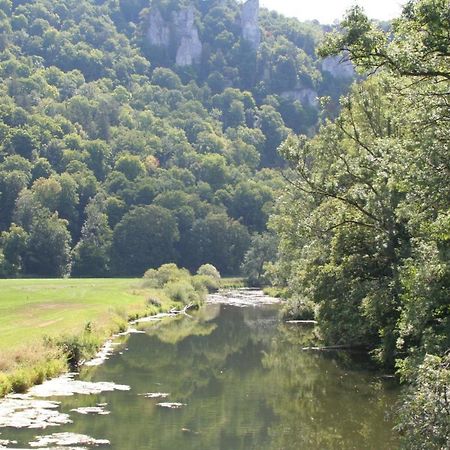 Hotel Gaestehaus Theresia Garni Muhlheim an der Donau Exteriör bild