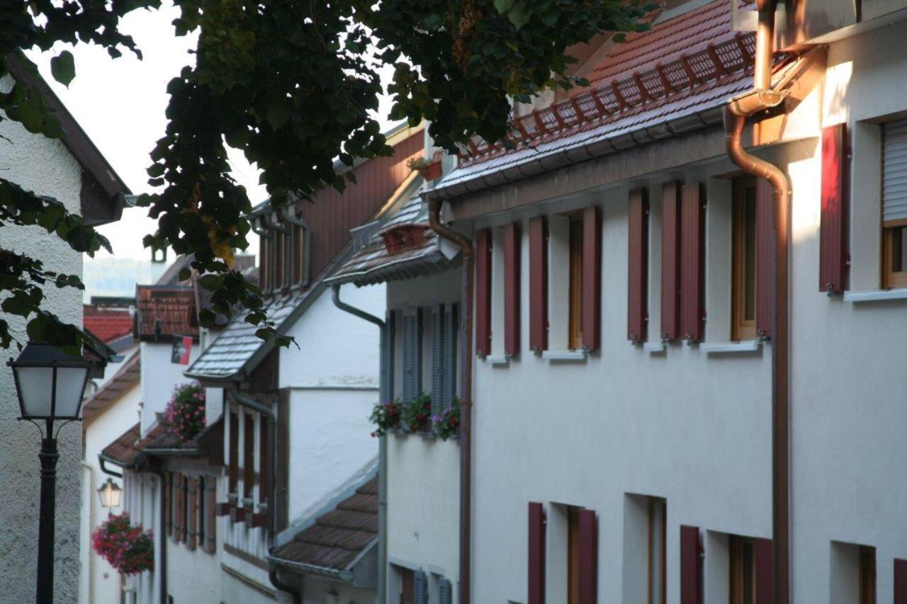 Hotel Gaestehaus Theresia Garni Muhlheim an der Donau Exteriör bild