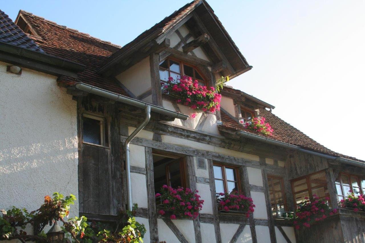 Hotel Gaestehaus Theresia Garni Muhlheim an der Donau Exteriör bild