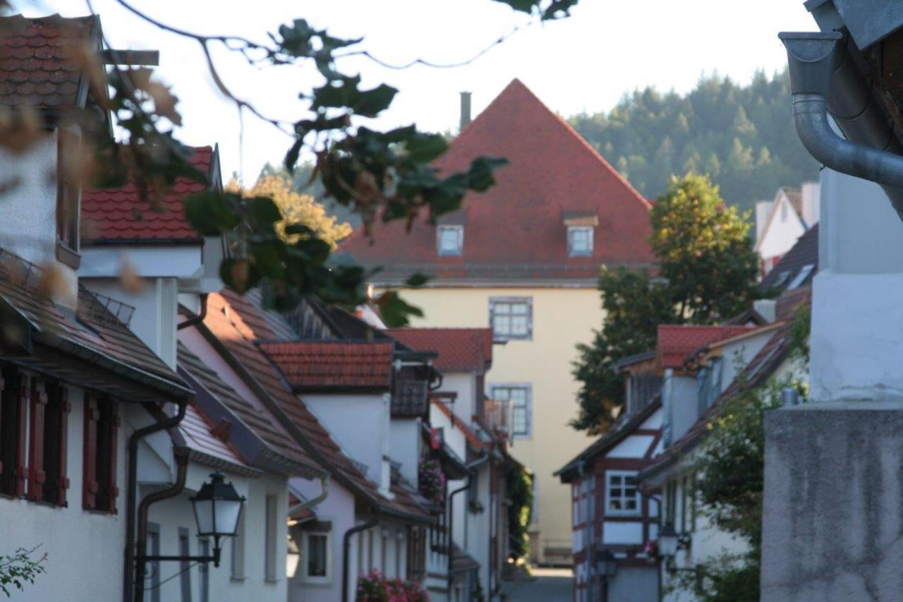 Hotel Gaestehaus Theresia Garni Muhlheim an der Donau Exteriör bild