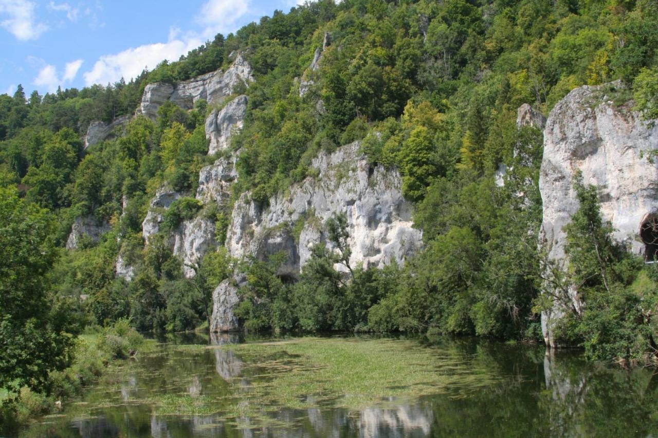 Hotel Gaestehaus Theresia Garni Muhlheim an der Donau Exteriör bild